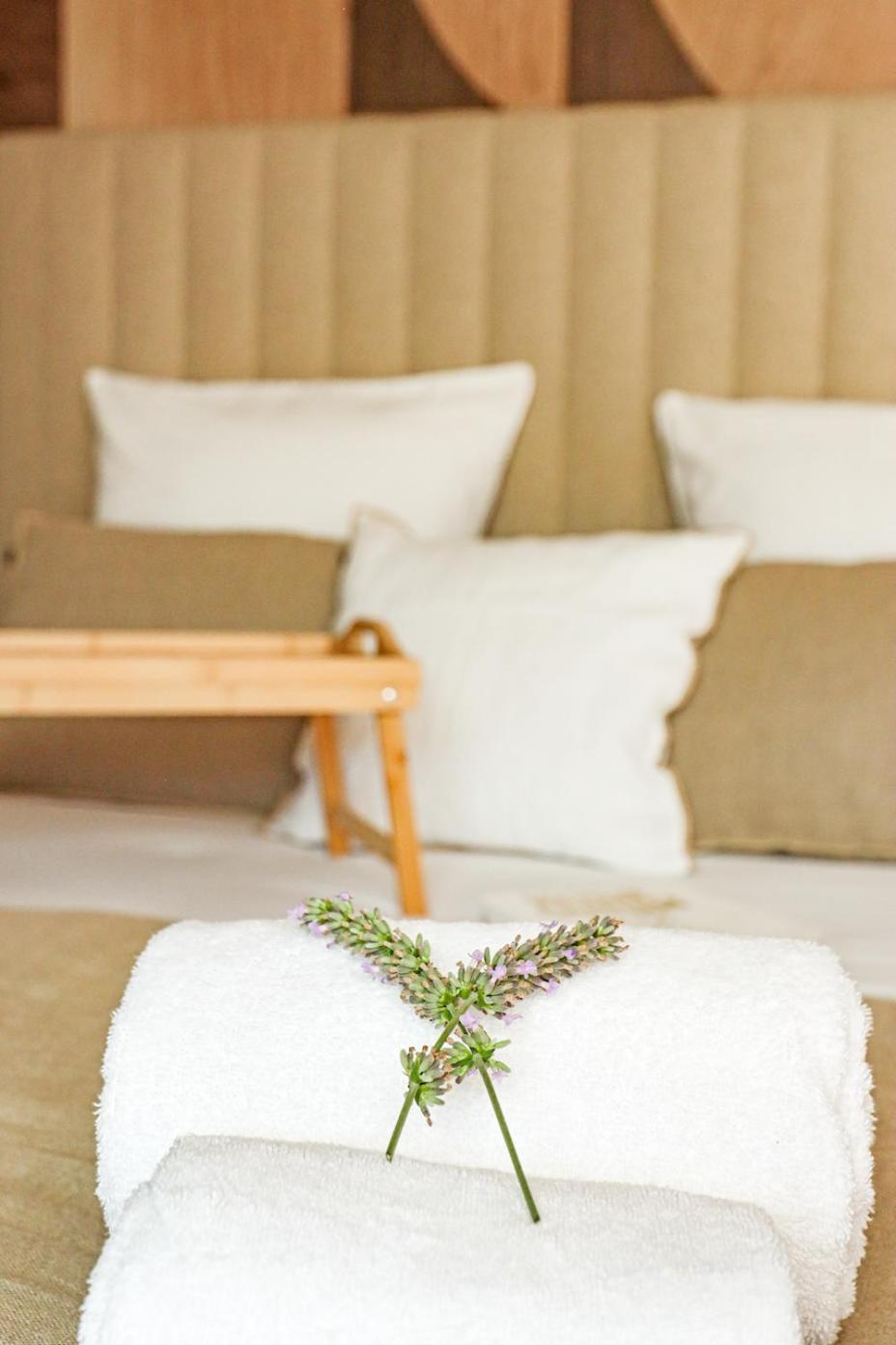 Les Gites De Laure - L'Eden Romantique, Chambres Hotes, Spa Prive, Couloir De Nage, Adults Only Malves-en-Minervois Exterior photo